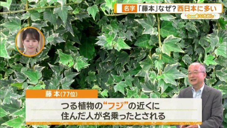 植物のフジにちなんだ名字