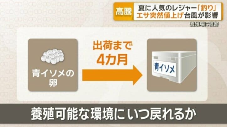 養殖可能な環境にいつ戻れるか
