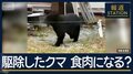 “ジビエ”は可能?クマの駆除急増で…焼却炉の処理能力超え 秋田・岩手・山形・群馬・北海道