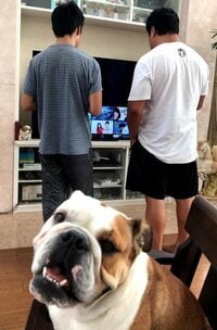 北斗晶、夫・佐々木健介と並ぶ15歳次男の後ろ姿に驚愕「いつの間にこんなに大きくなってたの？」