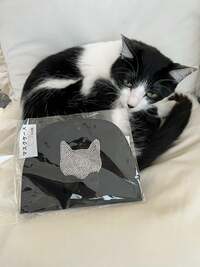 藤あや子『嬉しいプレゼント』