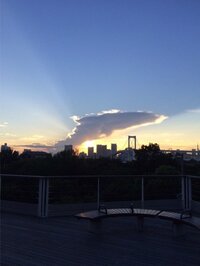 中田有紀『イルカ出現！』