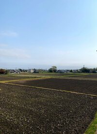 北斗晶『髪を巻く』