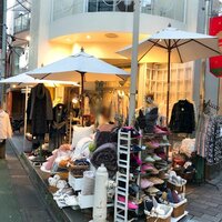 堀ちえみ『久しぶりに訪れた自由が丘の雑貨屋さん』