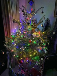 市川海老蔵『二人寝ました、、 サンタさん来るのかなーと』