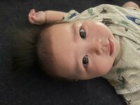 だいたひかる『他の子と比べて』