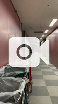 スザンヌ『ゆーすけと』