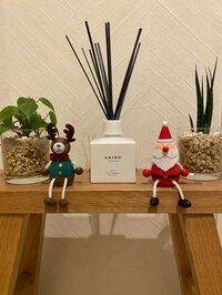 藤本美月『我が家の玄関に新入り』