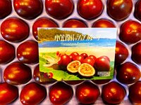 藤原紀香『日本を元気に♪』