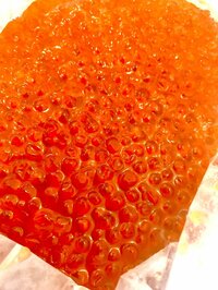 飯田圭織『秋のご馳走♪♪北海道小樽から☆』