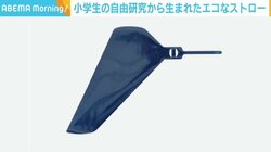 小学生の自由研究を父が商品化！ 繰り返し使える“シート型”ストロー 「大切に使えばプラもいいところがある」