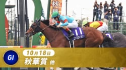 秋華賞2026完全ガイド！有力馬診断・京都コース傾向＆配信視聴法