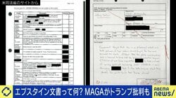 「エプスタイン文書」騒動に見る富裕層への反発 分断を招くのはイデオロギーの“左右”ではなく格差の“上下”か トランプ支持のMAGAからも不満噴出 識者「化けの皮が剥がれてきた」