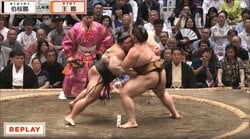 「腕の筋肉すごっ」大相撲、行司の後ろに“ひょっこり”元メジャーリーガーの大投手 「存在感ありますね」