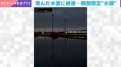 まるで映画のワンシーン…！水面に景色が溶け込む「水鏡」の様子に「わずか10日だけの奇跡」「実物はより一層美しい」と反響