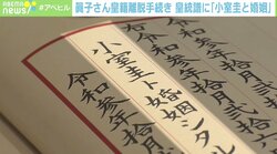 眞子さん・小室さん結婚会見 記事の“コメント欄”閉鎖…臨床心理士が指摘する「誹謗中傷が起こりやすい環境」