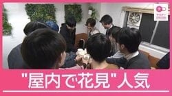 多様化する花見スタイル　利用4倍のレンタルスペースも　人気の理由は“四重苦”回避