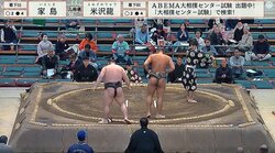 「股下何センチよ？」身長190センチ“規格外”力士の映えまくりな圧巻ボディ「バリオーラある」「スタイルやば過ぎ…」