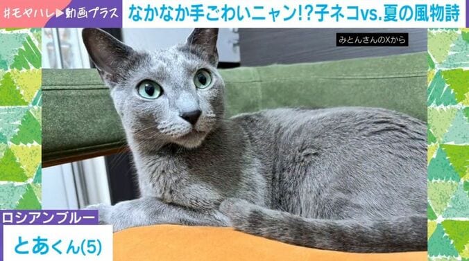 とあくん