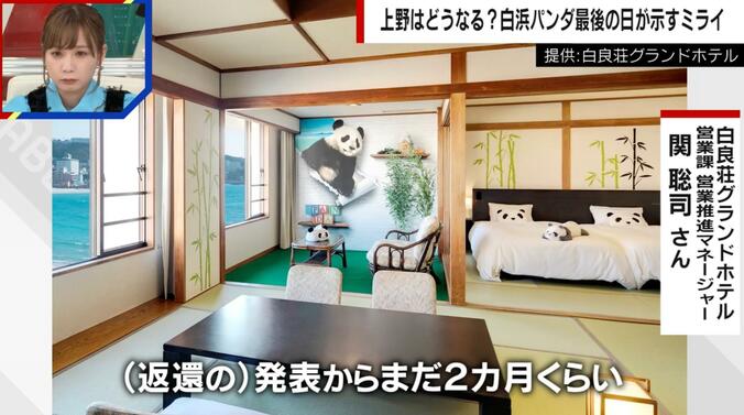 白良荘グランドホテルのパンダに囲まれてすごすことができる部屋