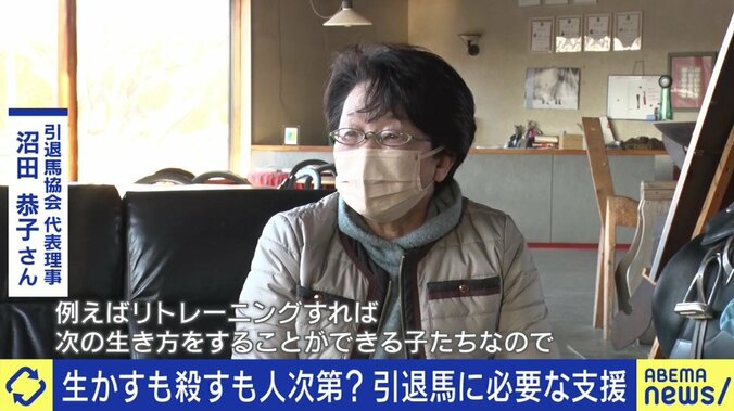 「走れなくなっただけでお肉にしてしまうのはもったいない」馬刺し・家畜の餌になるケースも…競走馬、年間1万頭の“余生”を考える 3枚目