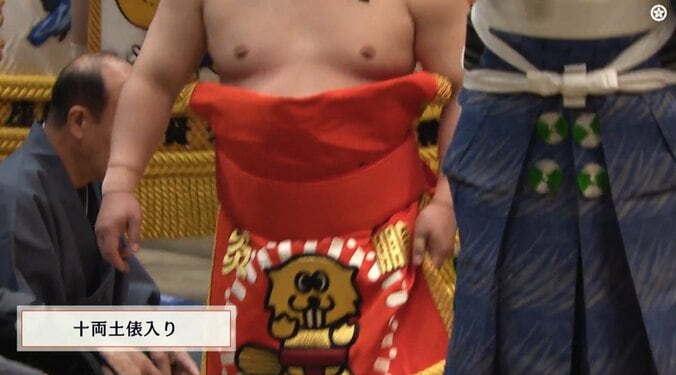 「ギャップありすぎだろ」炎鵬、凛々しい表情と“正反対”のキュートな化粧まわしにファン悶絶 4枚目