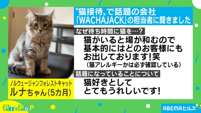 ご足労おかけしましたニャ！ 接待担当はまさかの“猫”　投稿主「最高でした」 2枚目