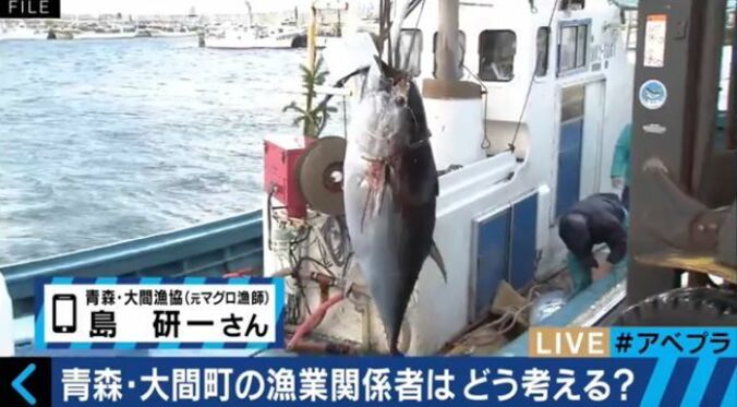 マグロが絶滅の危機　その影に存在する中国の「違法」漁船 1枚目