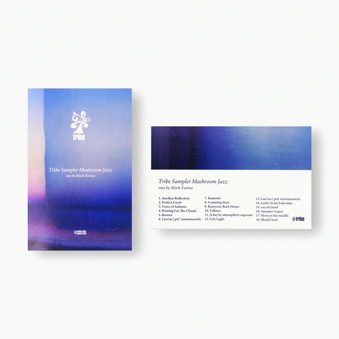 【写真・画像】　2枚目