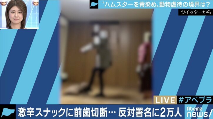 【写真・画像】苦しむハムスターの動画をYouTubeに…止まぬ動物虐待、法改正後は初犯で懲役刑も　5枚目