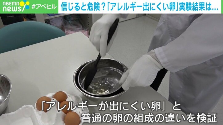 「アレルギーが出にくい卵」と普通の卵の組成の違いを検証