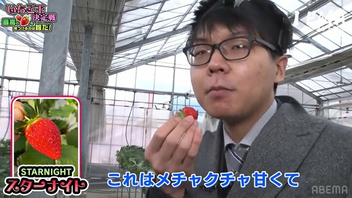 永瀬拓矢王座が新タイトル獲得？大好きイチゴ狩りにテンションMAX「私がいちご王です」ファンは爆笑「負けず嫌いすぎw」／将棋・ABEMAトーナメント