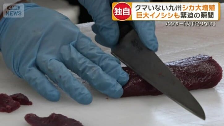 ジビエとして加工しておいしく食べる取り組み