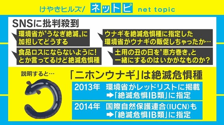 環境省「土用のウナギはご予約を」ツイートに批判殺到、深刻な“食品ロス”伝わらず