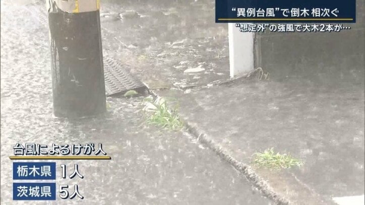 台風によるけが人