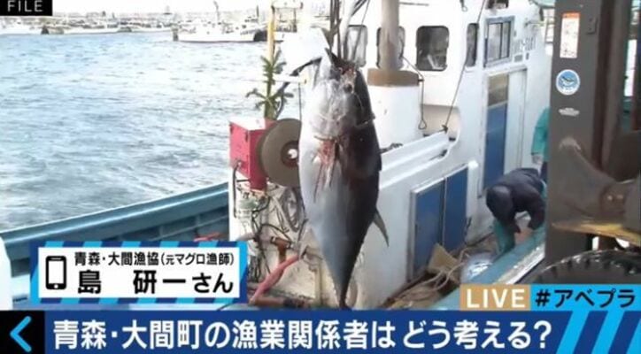 マグロが絶滅の危機　その影に存在する中国の「違法」漁船