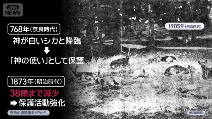 明治時代には38頭まで減少