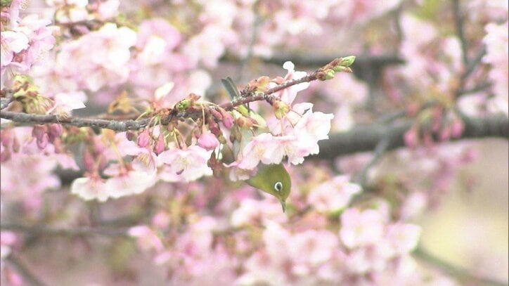 「東京23区でも積雪の可能性」気象庁が注意呼びかけ 春の陽気から一転“三寒四温”