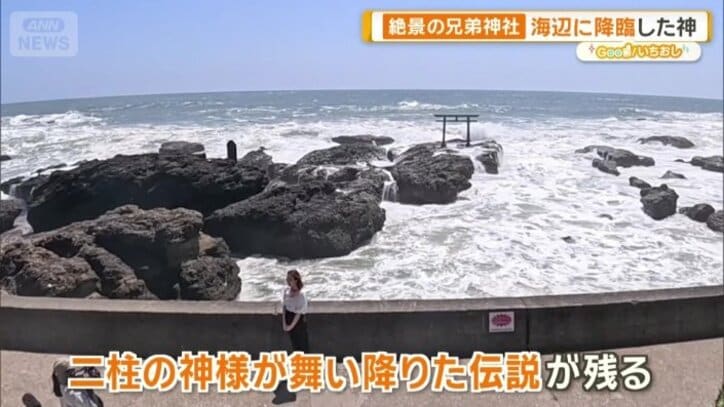 太平洋を望む鳥居