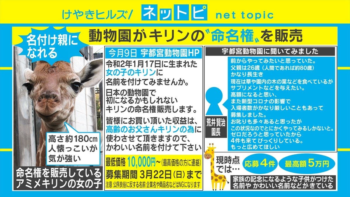 日本の動物園で初の試み 宇都宮動物園で赤ちゃんキリンの命名権販売を開始 国内 Abema Times