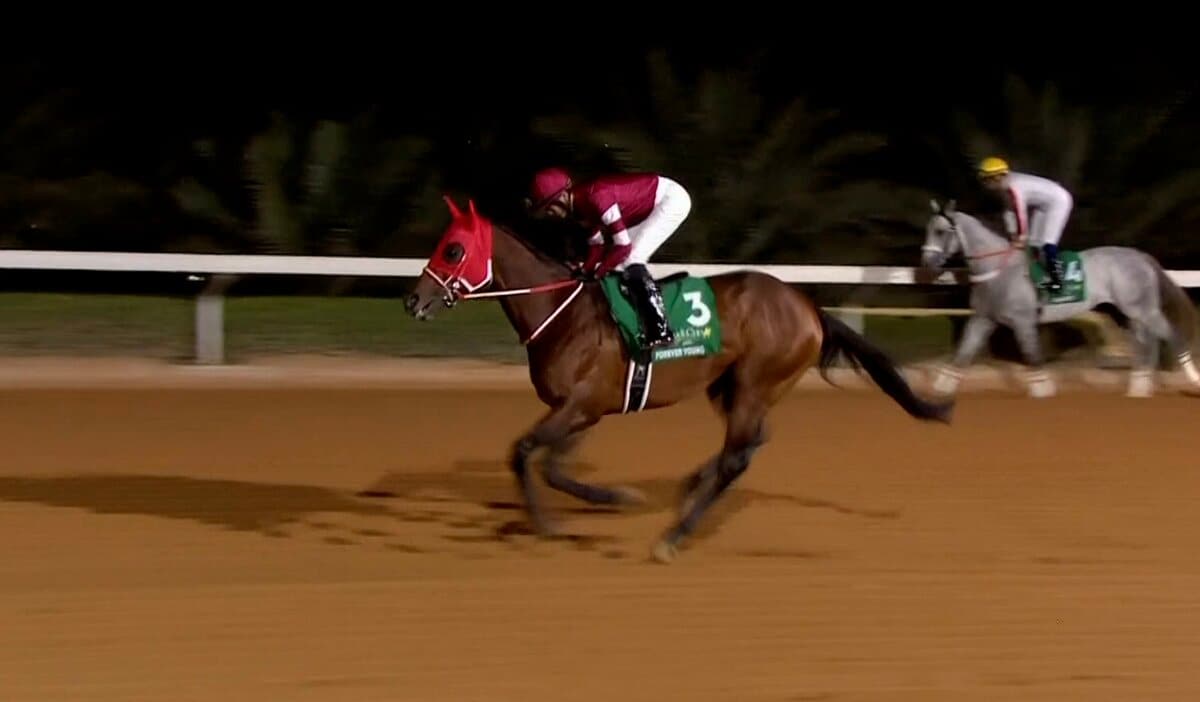 サウジカップ】フォーエバーヤングが史上初の2連覇達成！ 圧巻競馬で1