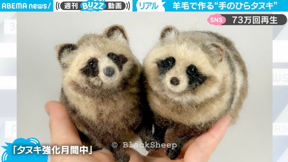 羊毛フェルトで作った“手のひらタヌキ”が本物同然…「毛繕いしてるの