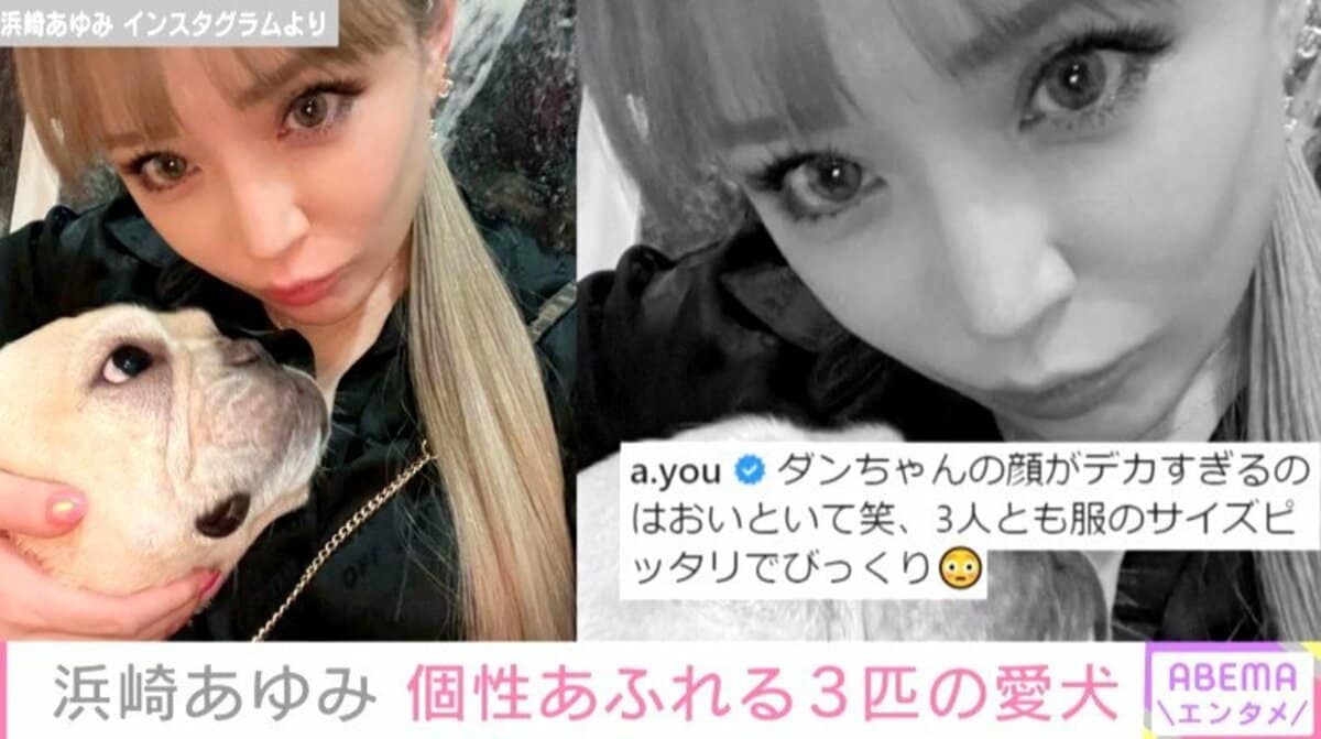 個性強いなぁー 浜崎あゆみ 写真を撮る際の愛犬たちの行動を紹介 芸能 Abema Times