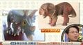 「本物でしかない」芸術的なチョコの数々が衝撃的 「え？」「フィギュアみたい」的場浩司、妻の誕生日に購入の“傑作スイーツ”