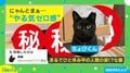 ニャンと、まあ… ヤル気がなさすぎる猫がネット上で話題に 「休んでいる人間みたい」「ゼロ感半端ない」
