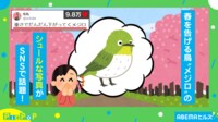 【映像】重さでズリ落ちる?メジロの“シュール”な姿