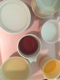 ミス・モンゴル『ざっくり』