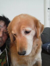 坂上忍、新しく家族になった“息子”を紹介「縁あって、我家の13男坊となりました」