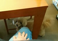 大島康徳『一番イカンのはストレス』