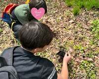 杉浦太陽『きのこな親子時間』